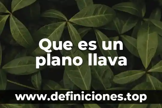 Que es un plano llava
