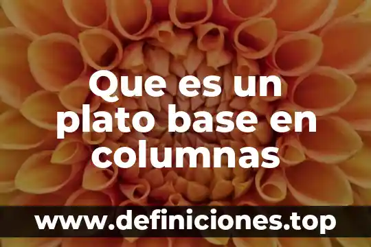 Que es la plato del buen comer 8 Que es un plato base en columnas