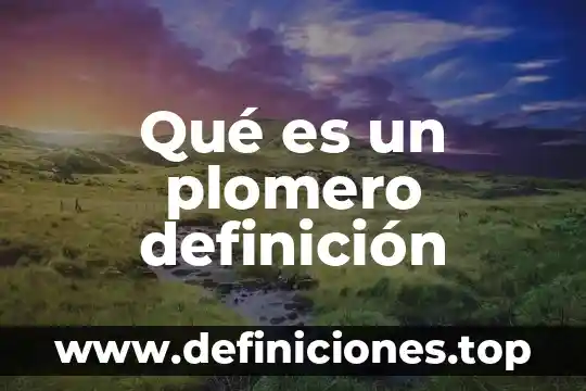Qué es un plomero definición