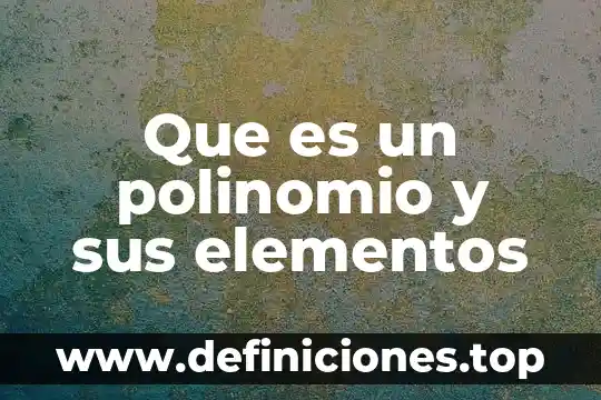 Que es un polinomio y sus elementos