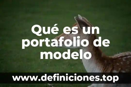 Que es un modelo geometrico en geometria 4 Qué es un portafolio de modelo