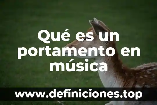 Información sobre qué es el diabetes 3 Qué es un portamento en música