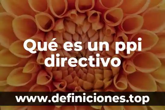 Que es u directivo 5 Qué es un ppi directivo