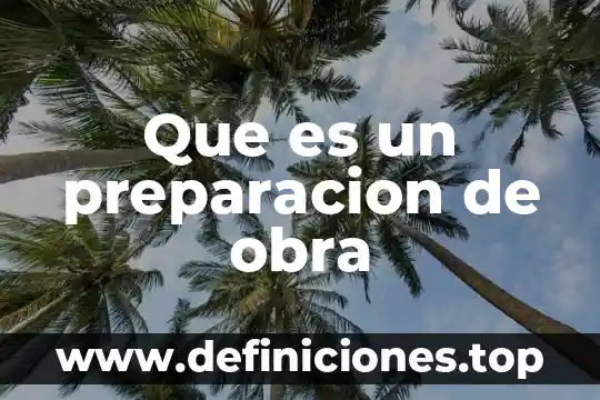 Que es un capitulo en una obra 8 Que es un preparacion de obra