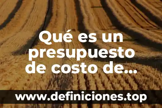 Qué es el costo primo y como se obtiene 6 Qué es un presupuesto de costo de producción