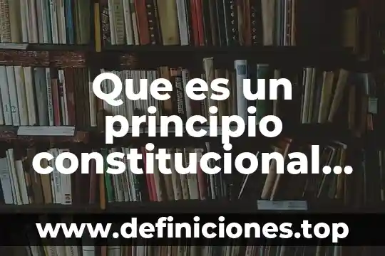 Que es accion constitucional 4 Que es un principio constitucional en proceso