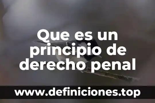 Que es un principio de derecho penal