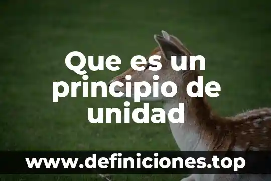Que es la unidad de diskette 7 Que es un principio de unidad