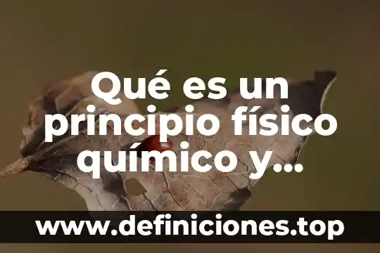 Proceso biol贸gico que es 5 Qu茅 es un principio f铆sico qu铆mico y biol贸gico Yahoo