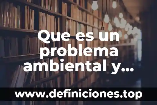 Qué es un transceptor y cuáles son sus tipos 6 Que es un problema ambiental y cuales son sus causas