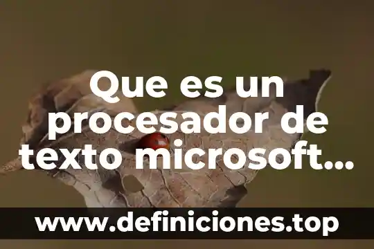 Qué es Microsoft Office Outlook y para qué sirve 8 Que es un procesador de texto microsoft word 2010