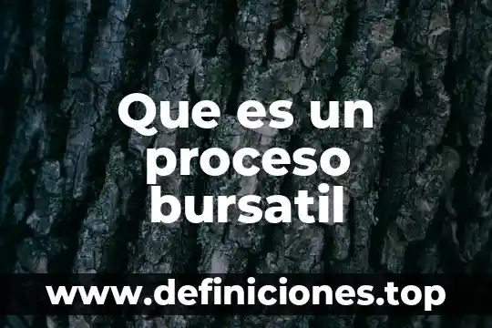 Que es un proceso bursatil