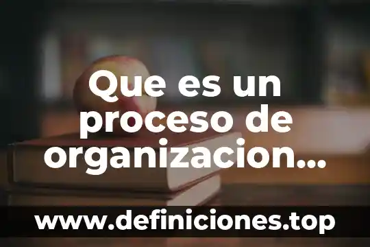 Que es un proceso de organizacion de diagnostico