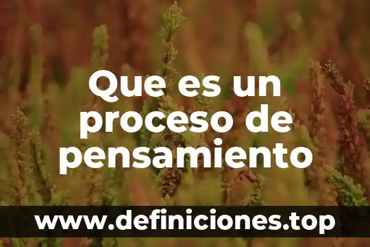 Que es un proceso de pensamiento