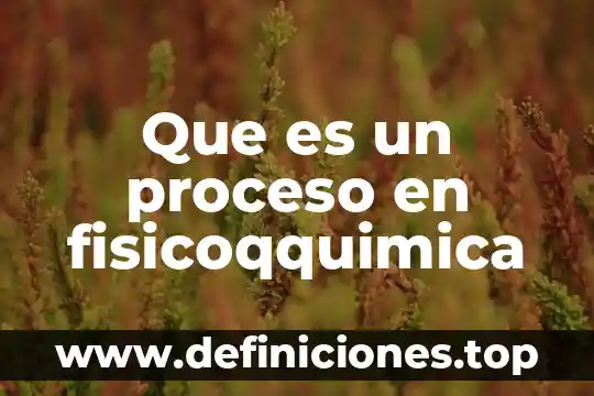 Que es un proceso en fisicoqquimica
