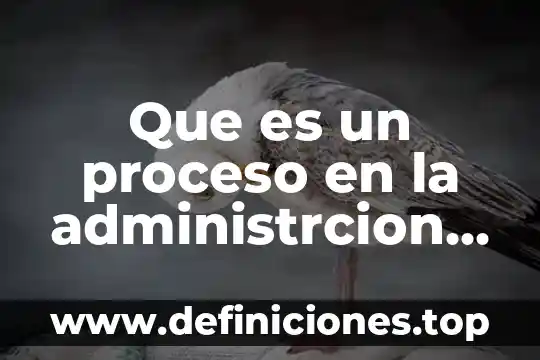 Que es un paquete de software contable 5 Que es un proceso en la administrcion contable