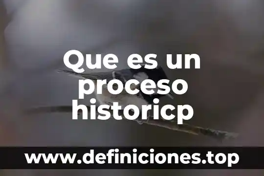 Que es el punto de consigna en un proceso 5 Que es un proceso historicp