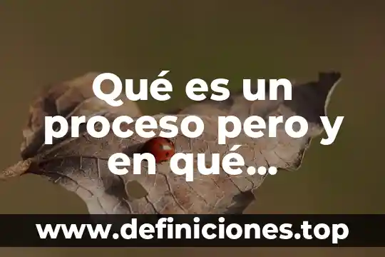 Que es y en que consiste un manual tecnico 5 Qué es un proceso pero y en qué consiste