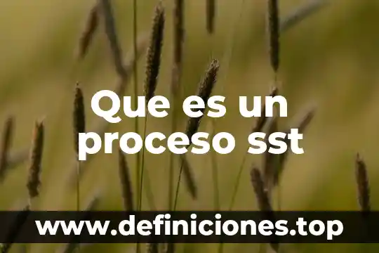 Que es la calidad del proceso 5 Que es un proceso sst