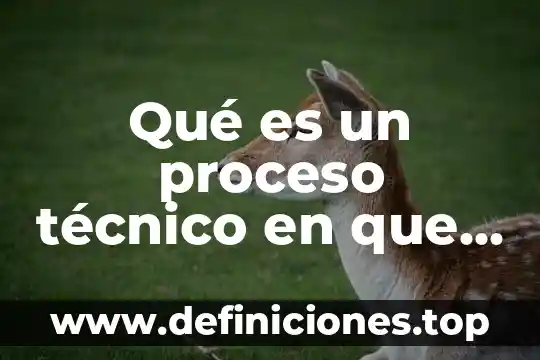 Qué es un proceso técnico en que consiste