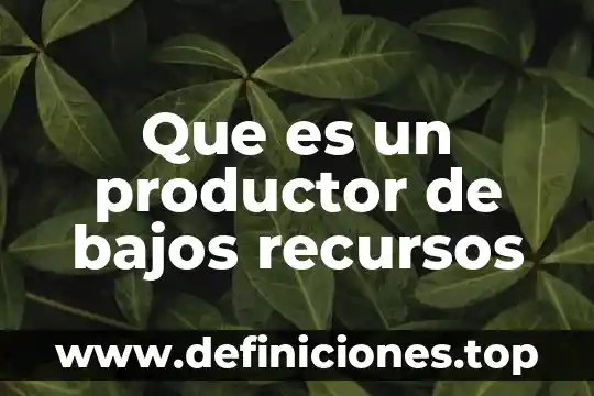 Que es una constancia de bajos recursos 6 Que es un productor de bajos recursos