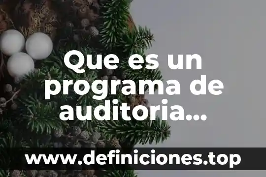 Que es un programa de auditoria segun autores