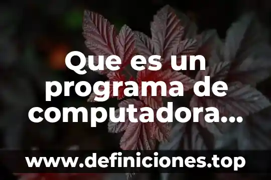 Que es un programa de computadora resumen