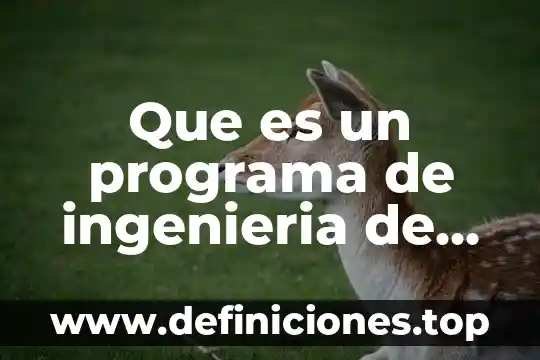Que es un programa de ingenieria de software