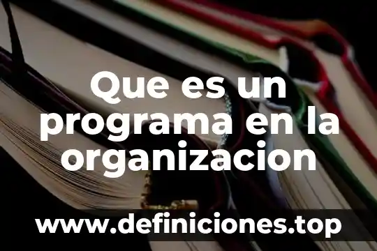 Para que es un programa true color 4 Que es un programa en la organizacion