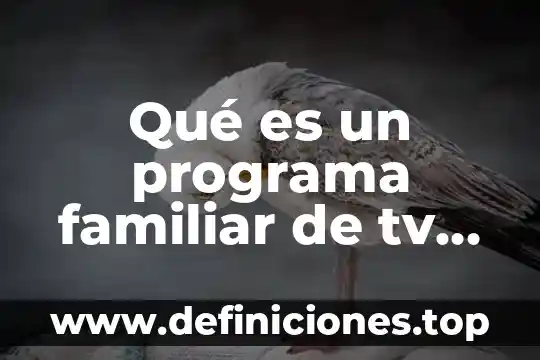Qué es un programa familiar de tv definición