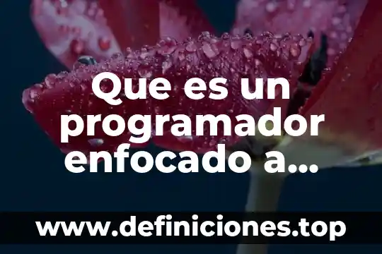 Mijo usted que es programador 8 Que es un programador enfocado a desarrollo de programas