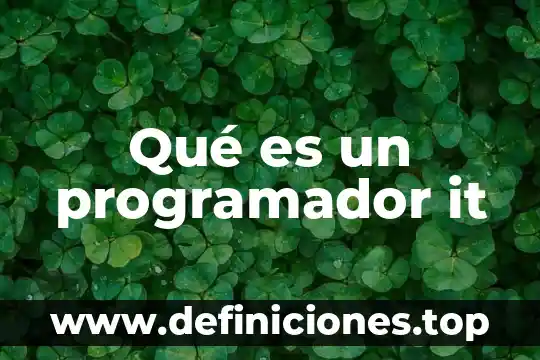 Mijo usted que es programador 7 Qué es un programador it