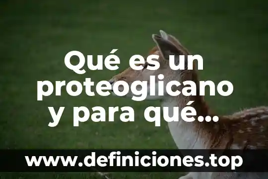 Qué es un proteoglicano y para qué sirve