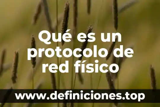 Qué es un pitbull red nose 8 Qué es un protocolo de red físico