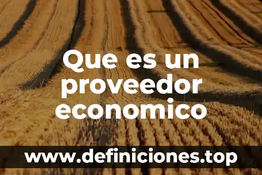 Que es ser un proveedor estrategico 5 Que es un proveedor economico