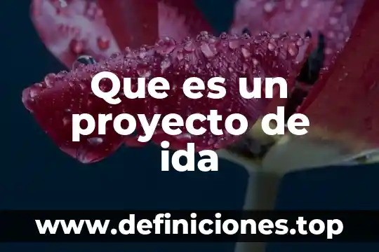 Que es el monto de inversion del proyecto 5 Que es un proyecto de ida