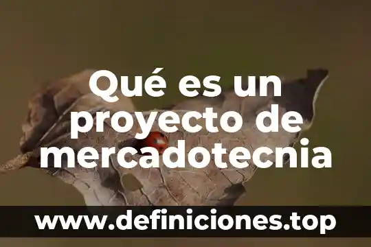 Qué es un proyecto de mercadotecnia