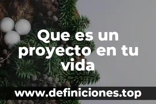 Que es ser dejado por tu novio 4 Que es un proyecto en tu vida