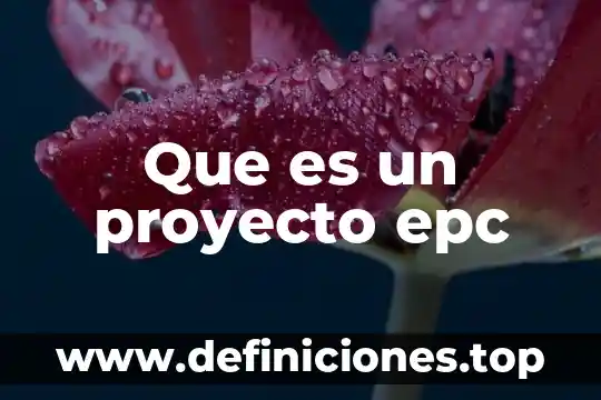 Que es un modelo o enfoque 6 Que es un proyecto epc