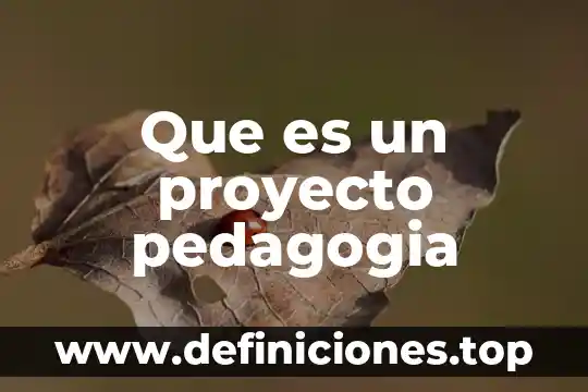 Qué es evaluación en pedagogía tecnológica 6 Que es un proyecto pedagogia