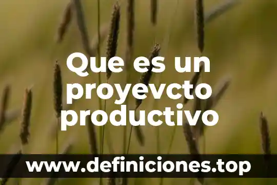 Que es encadenamiento productivo 7 Que es un proyevcto productivo