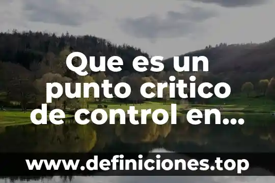 Que es un punto critico de control en manufacura