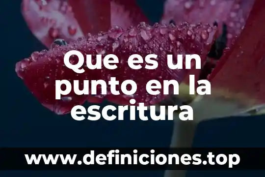 Qué es póliza vs escritura pública 4 Que es un punto en la escritura