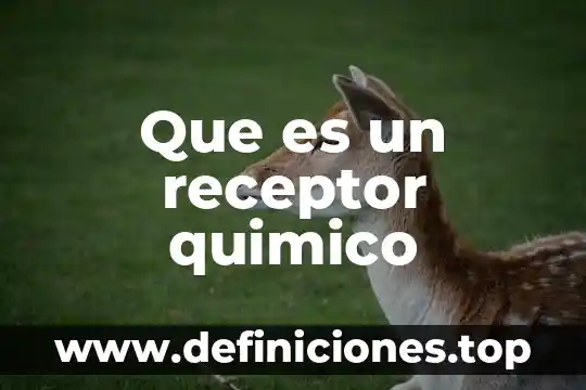 Por que es imortante una estructura 4 Que es un receptor quimico