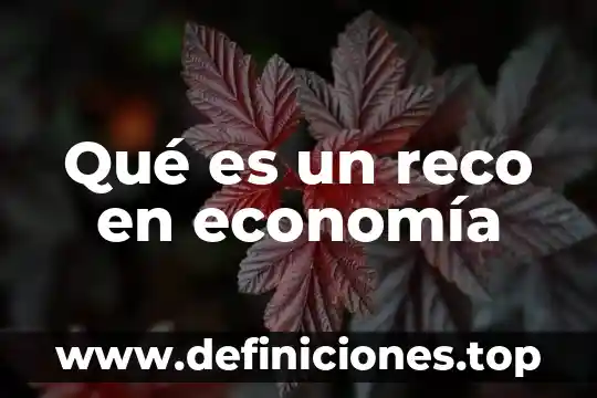 Cm en economía que es 7 Qué es un reco en economía