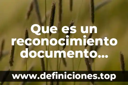 Que es un reconocimiento documento concepto