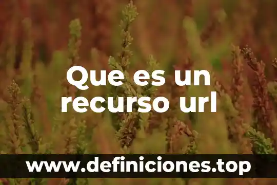Cuadro descriptivo de que es una url 5 Que es un recurso url