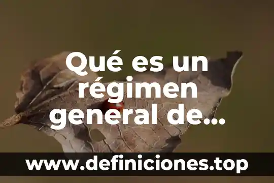 Qué es un régimen general de personas morales
