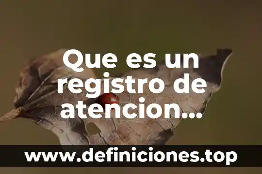Que es seguridad ciudadana en guatemala 3 Que es un registro de atencion ciudadana