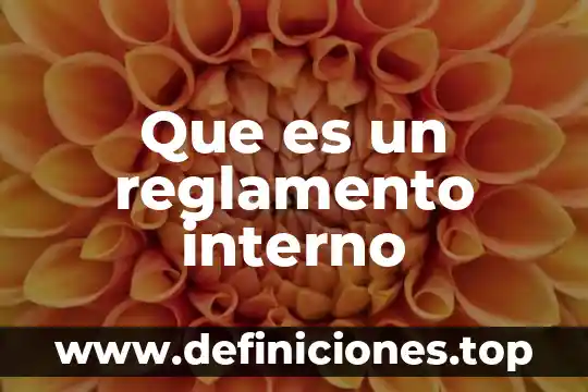 Qué es estado financiero interno 4 Que es un reglamento interno